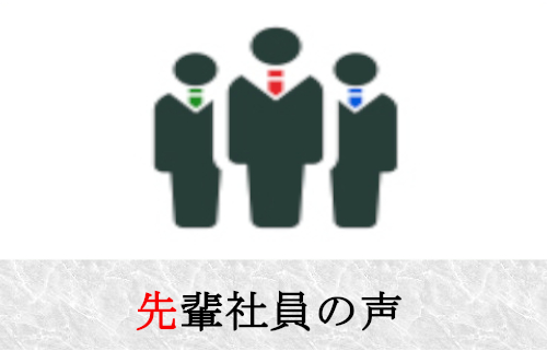 先輩社員の声