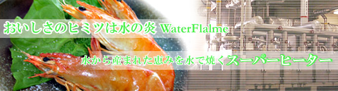 n[gt[Y21 X[p[q[^[îē